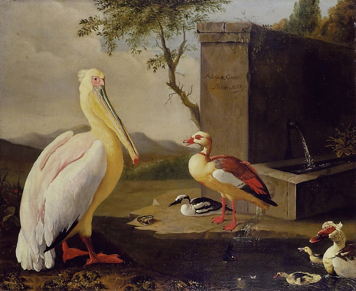 Pelican and Ducks in a Mountain Landscape