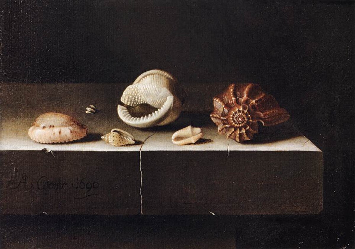 Shells by Adriaen Coorte at Private Collection