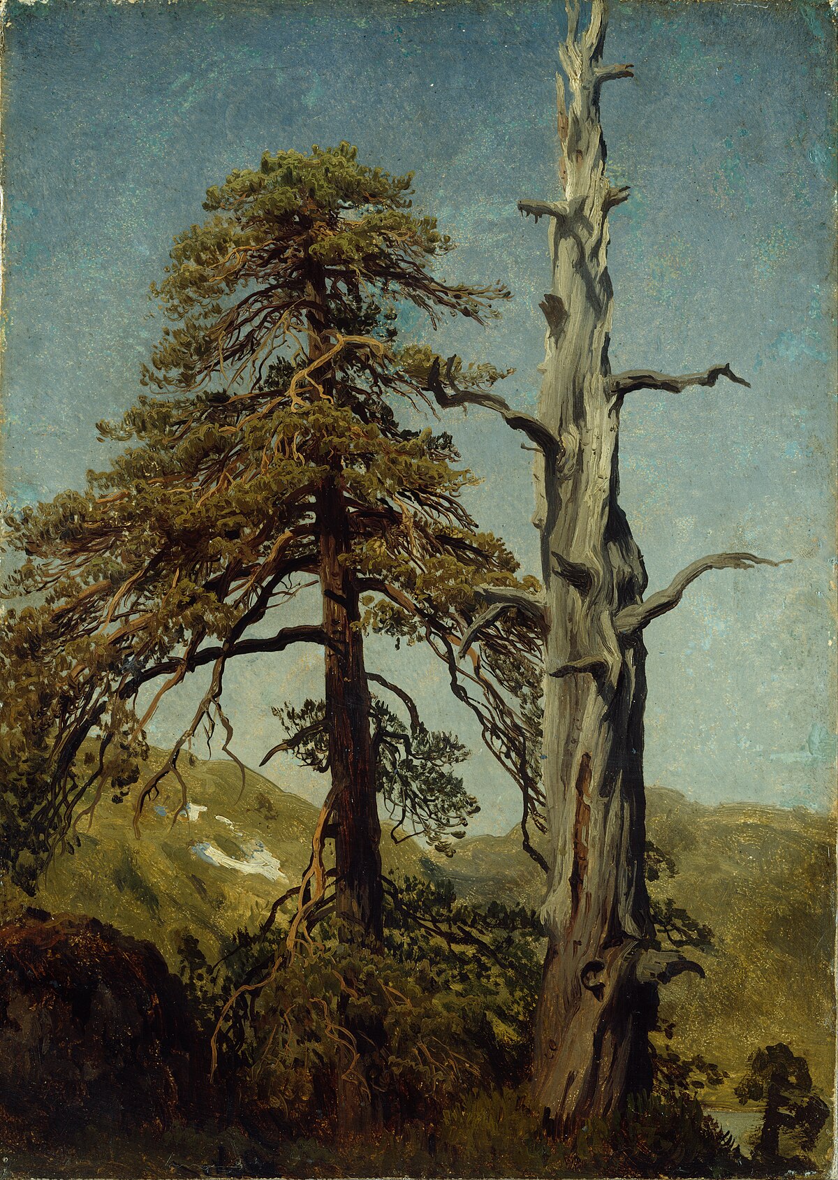 Study of trees by Édouard Manet at Private Collection