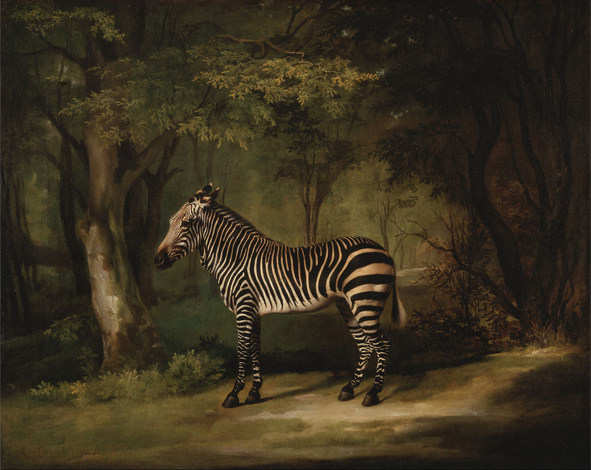 Zebra by George Stubbs