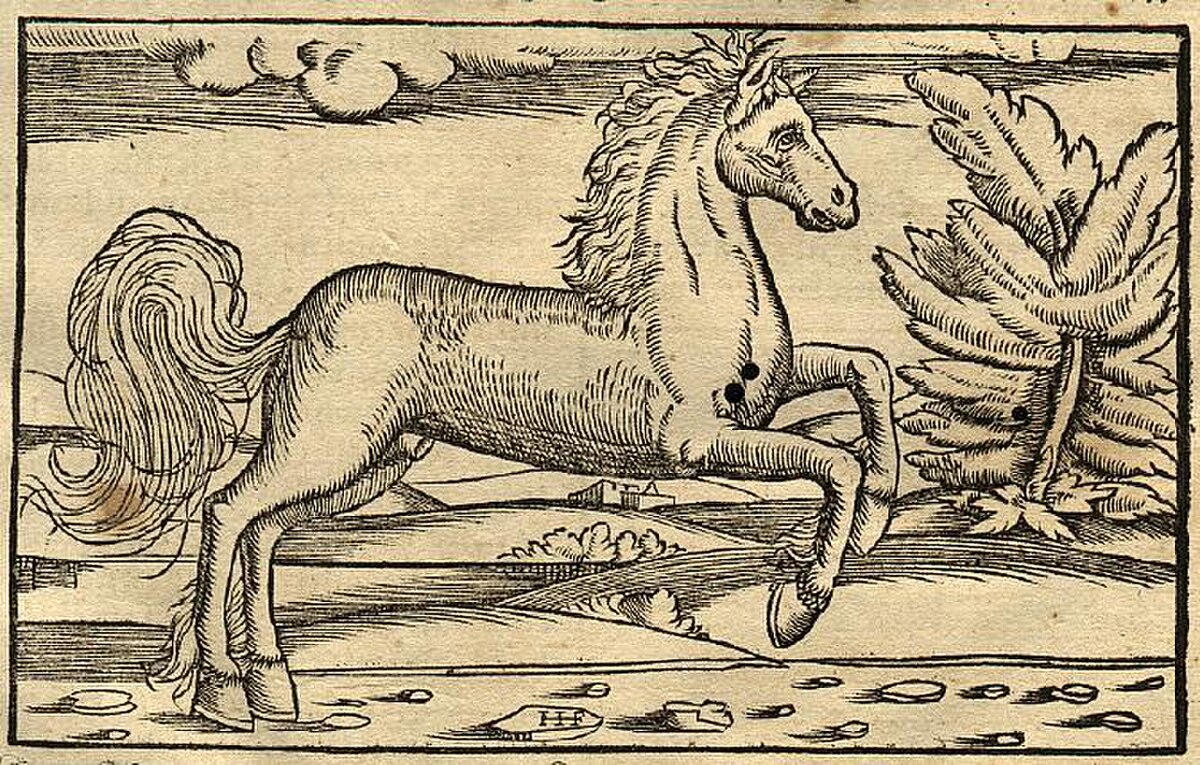 Horse Fighting His Groom by Henri de Toulouse-Lautrec at Private Collection