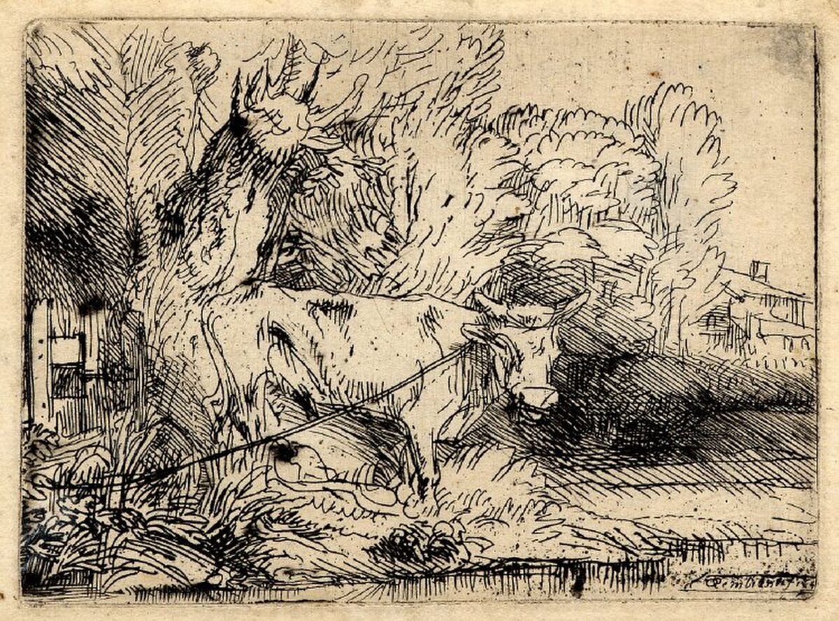 The Bull by Rembrandt van Rijn at Private Collection