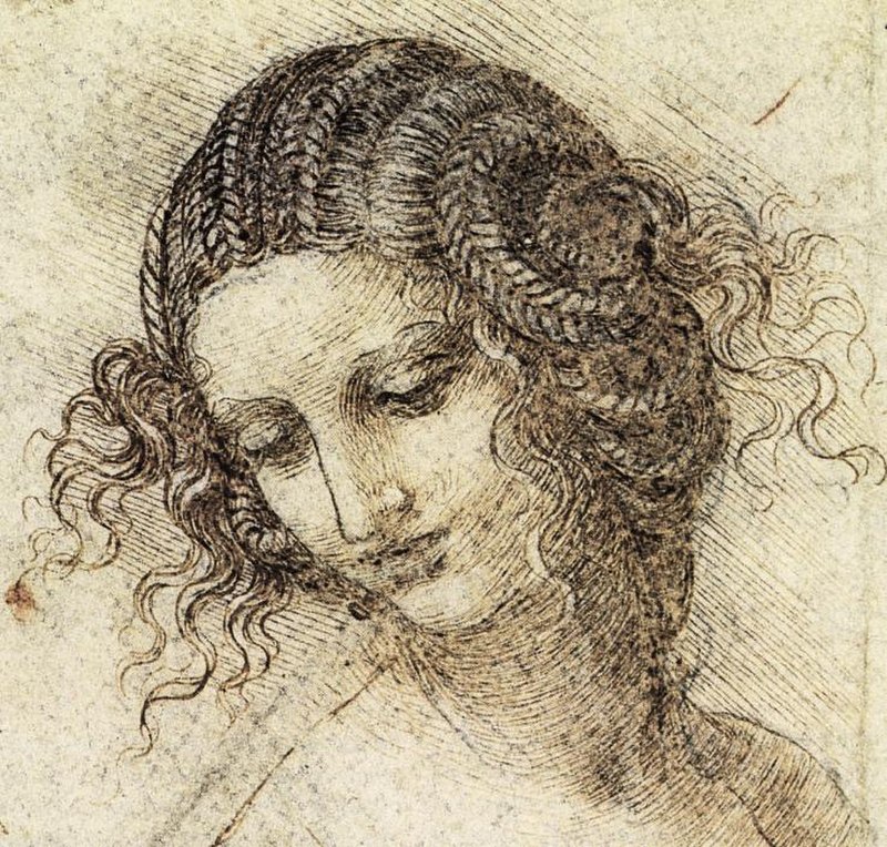 Study for the Head of Leda by Leonardo da Vinci