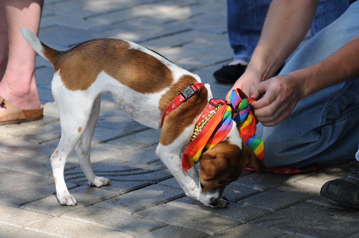 Man with Bandana by William Merritt Chase at Private Collection